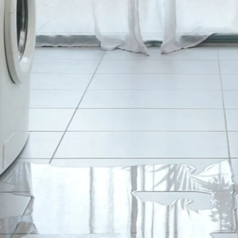 Appliance Leak Cleanup in Galesville, WI
