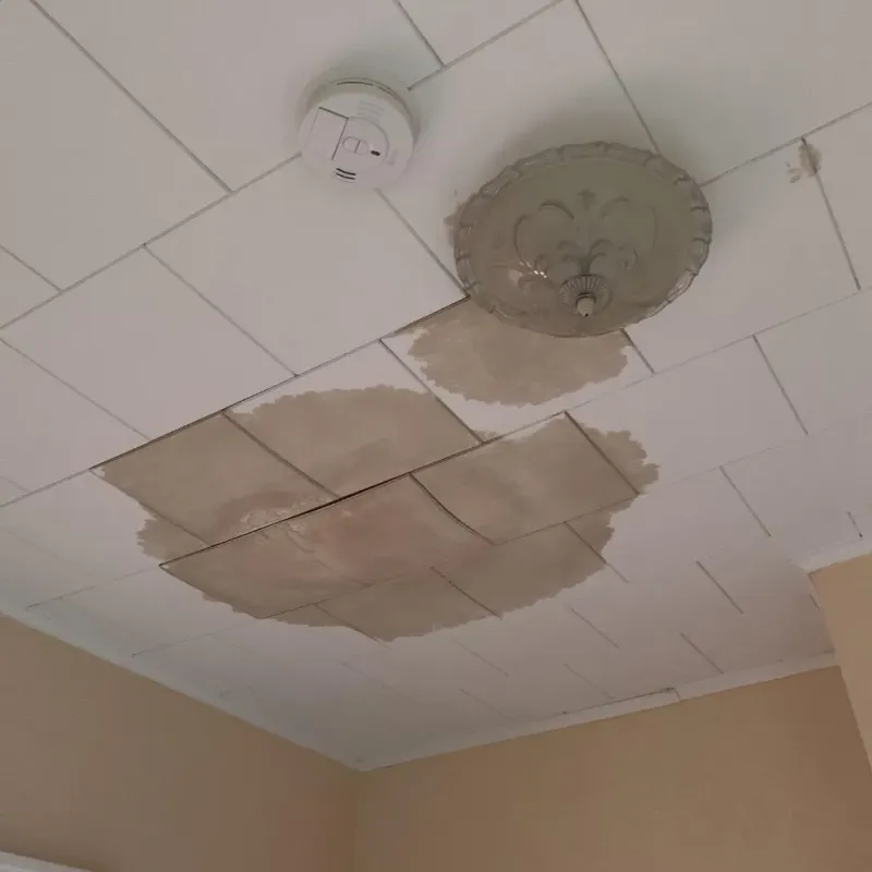 Ceiling Water Damage Repair in Galesville, WI