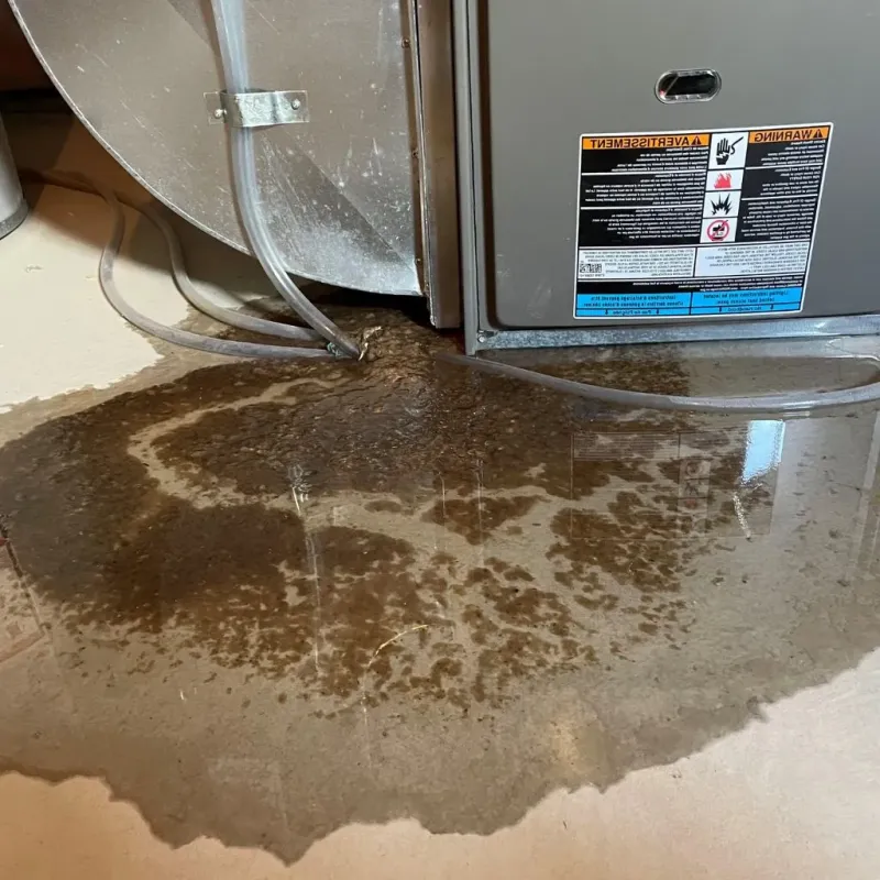 Pipe Burst and Leak Restoration in Galesville, WI