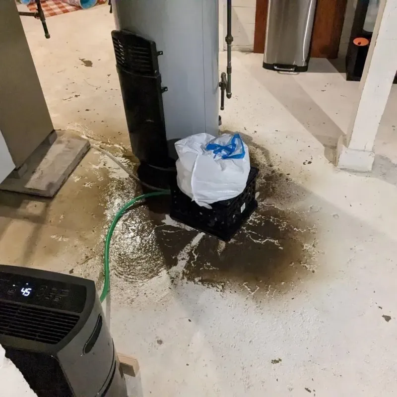 Sewage Backup Cleanup Service in Galesville, WI